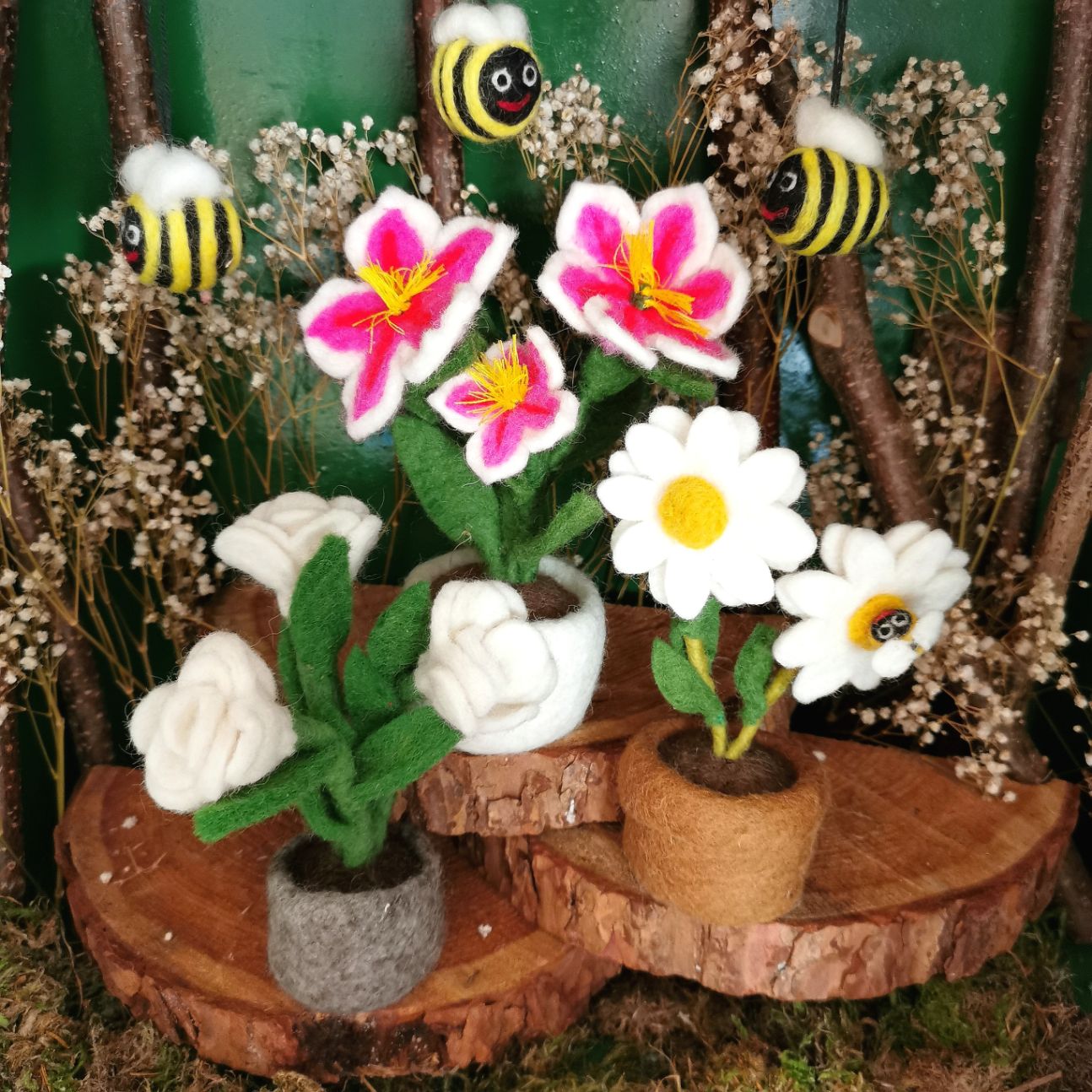 Dazy Daisy Pot