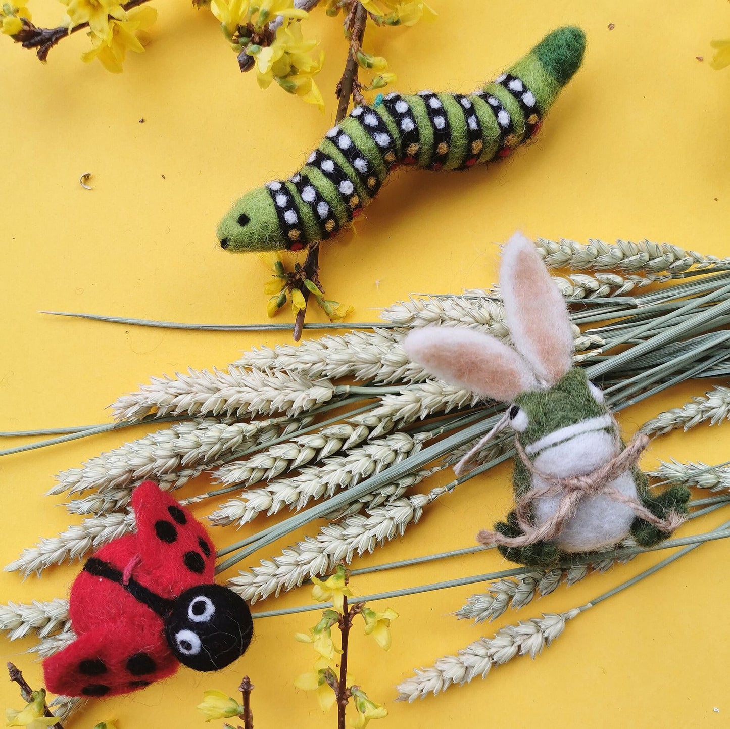 Lottie Ladybird