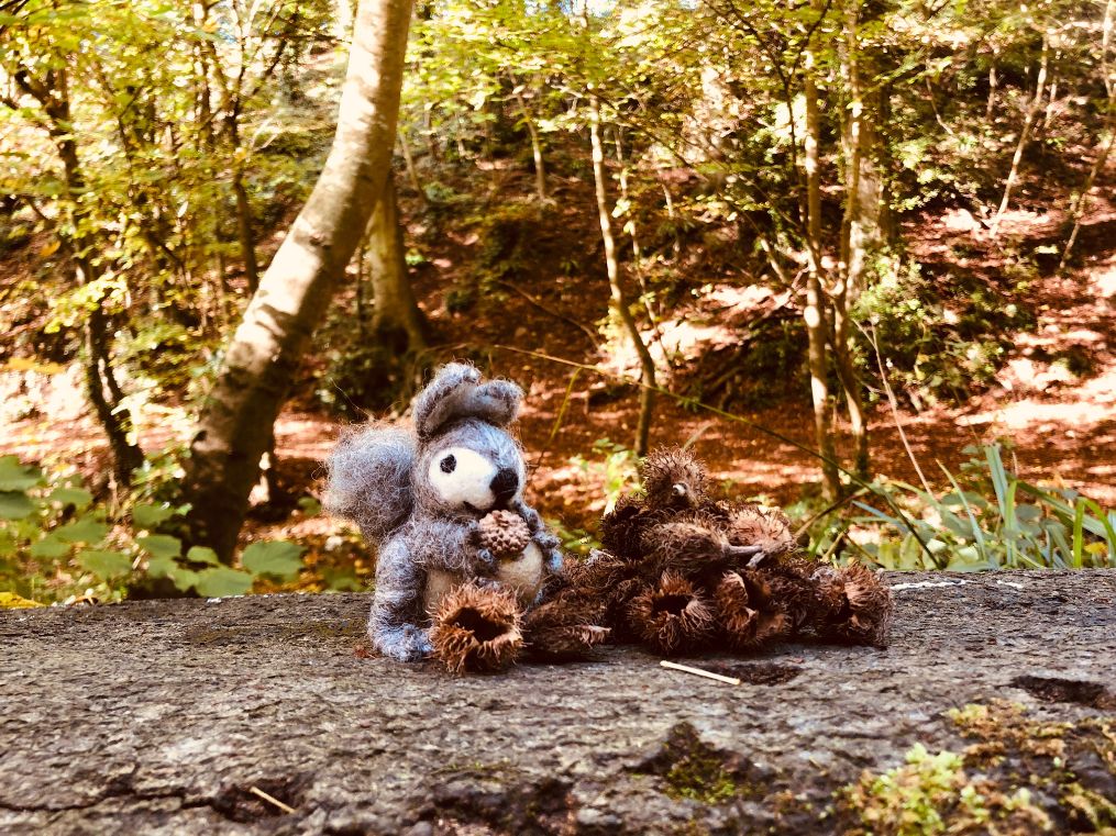 Eric the Squirrel