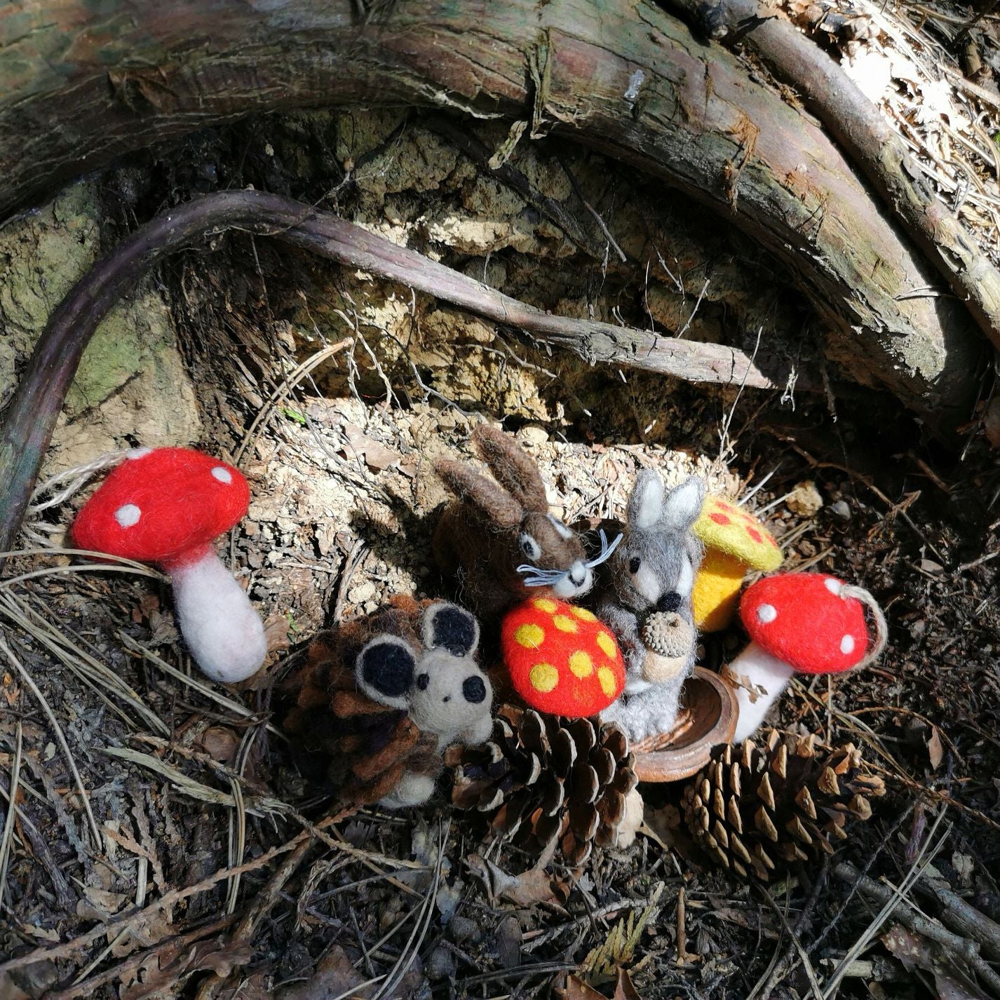 Toadstool Squirrel