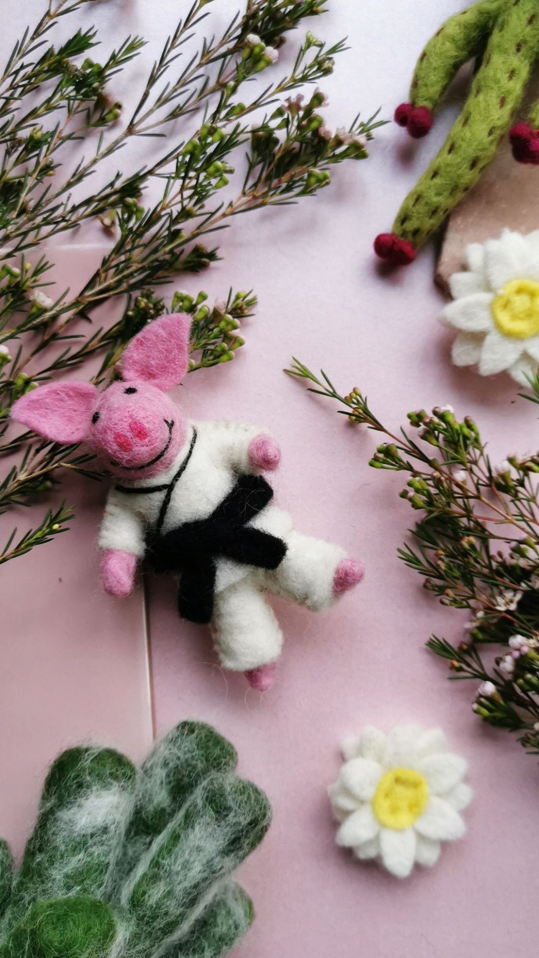 Pork Chop Karate Pig