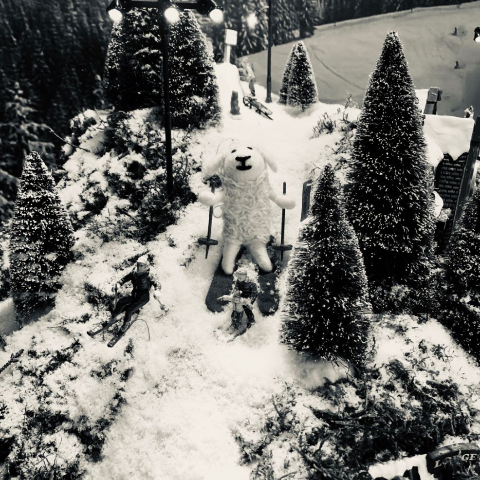 Skiing sheep