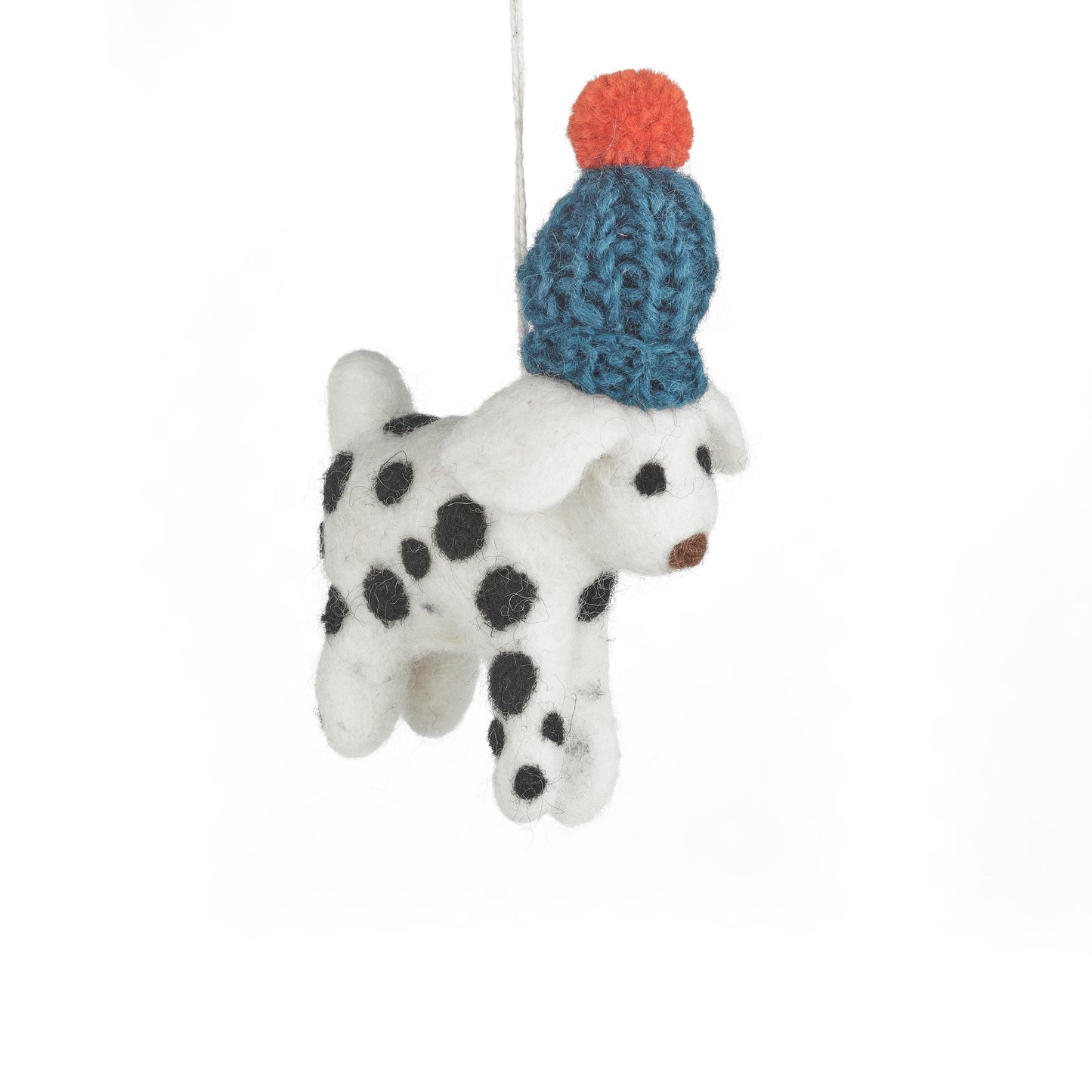 Dotty the Dog