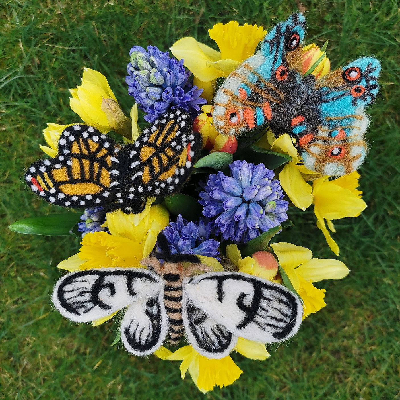 Emperor Butterfly