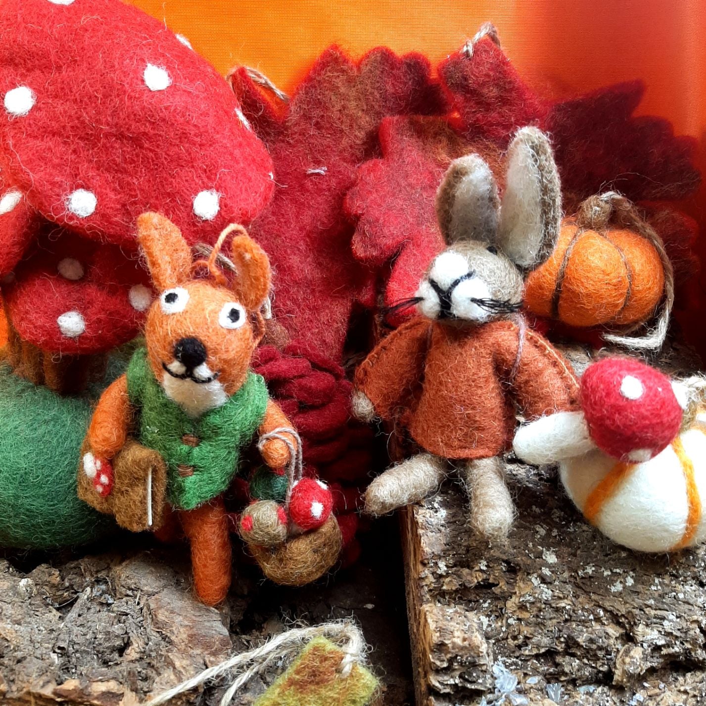 Fungi Forager Squirrel