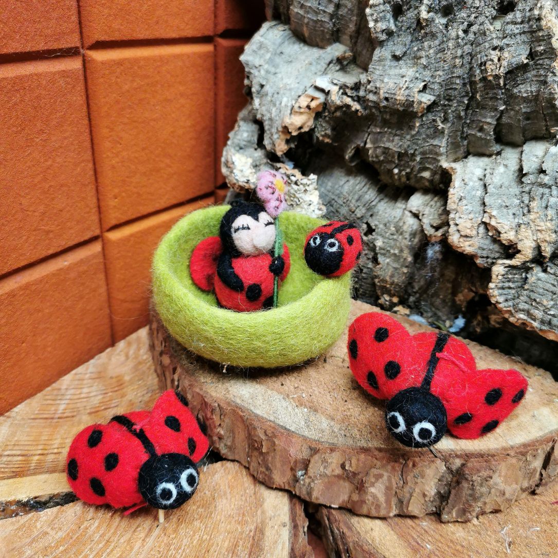 Lottie Ladybird