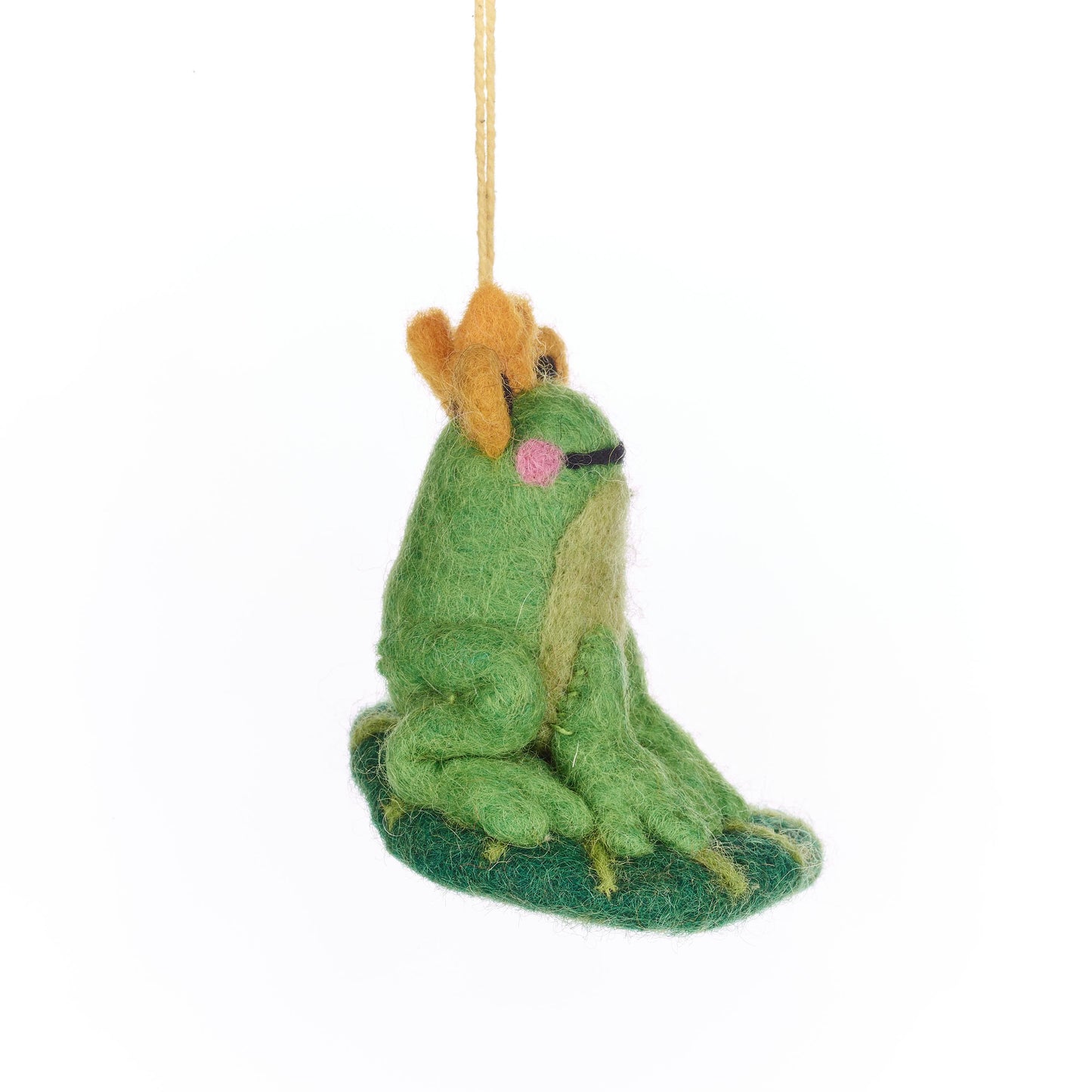 Prince the Frog