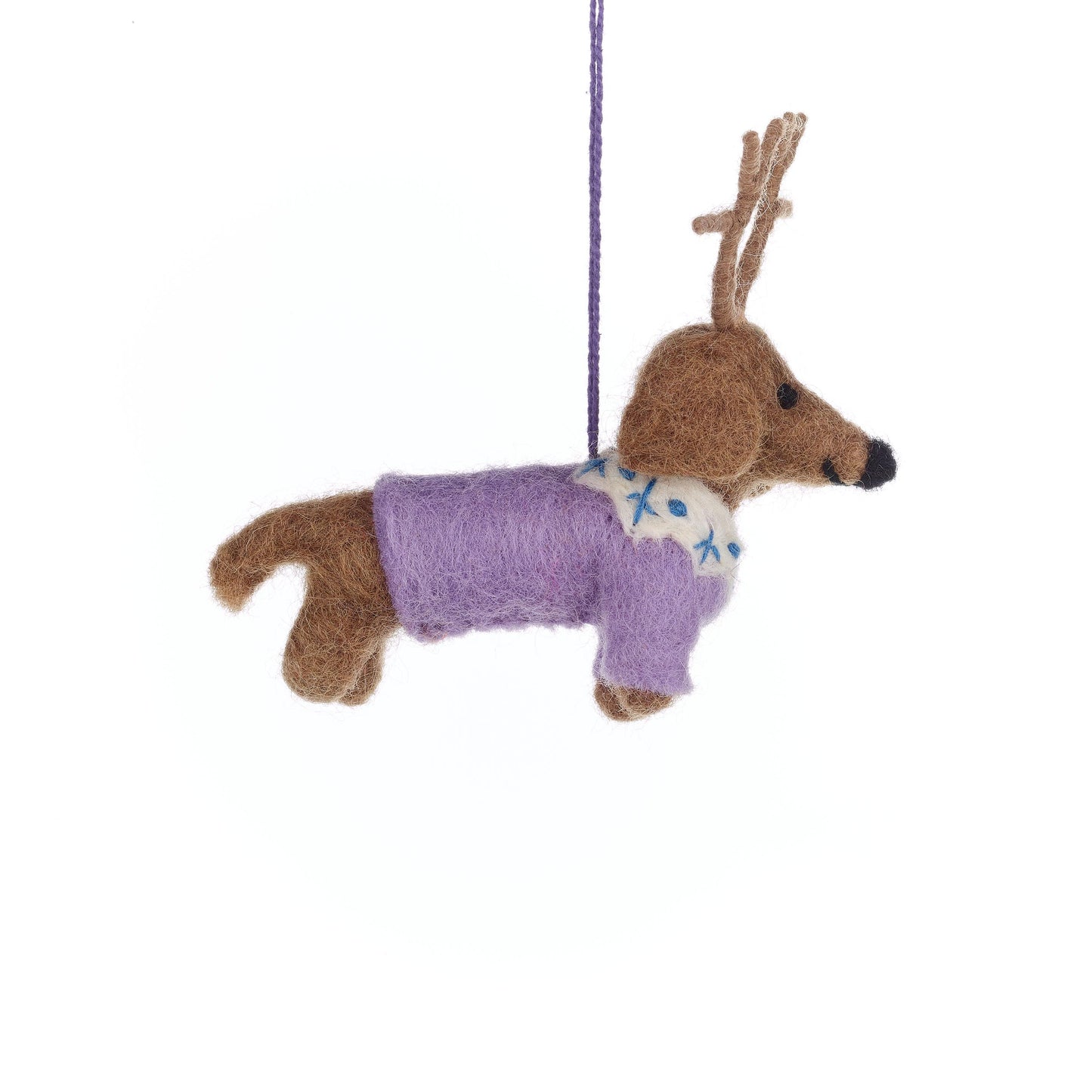 Rudy Dachshund Dog