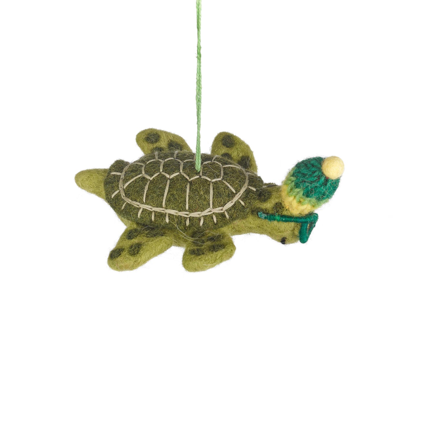 Simon the Sea Turtle