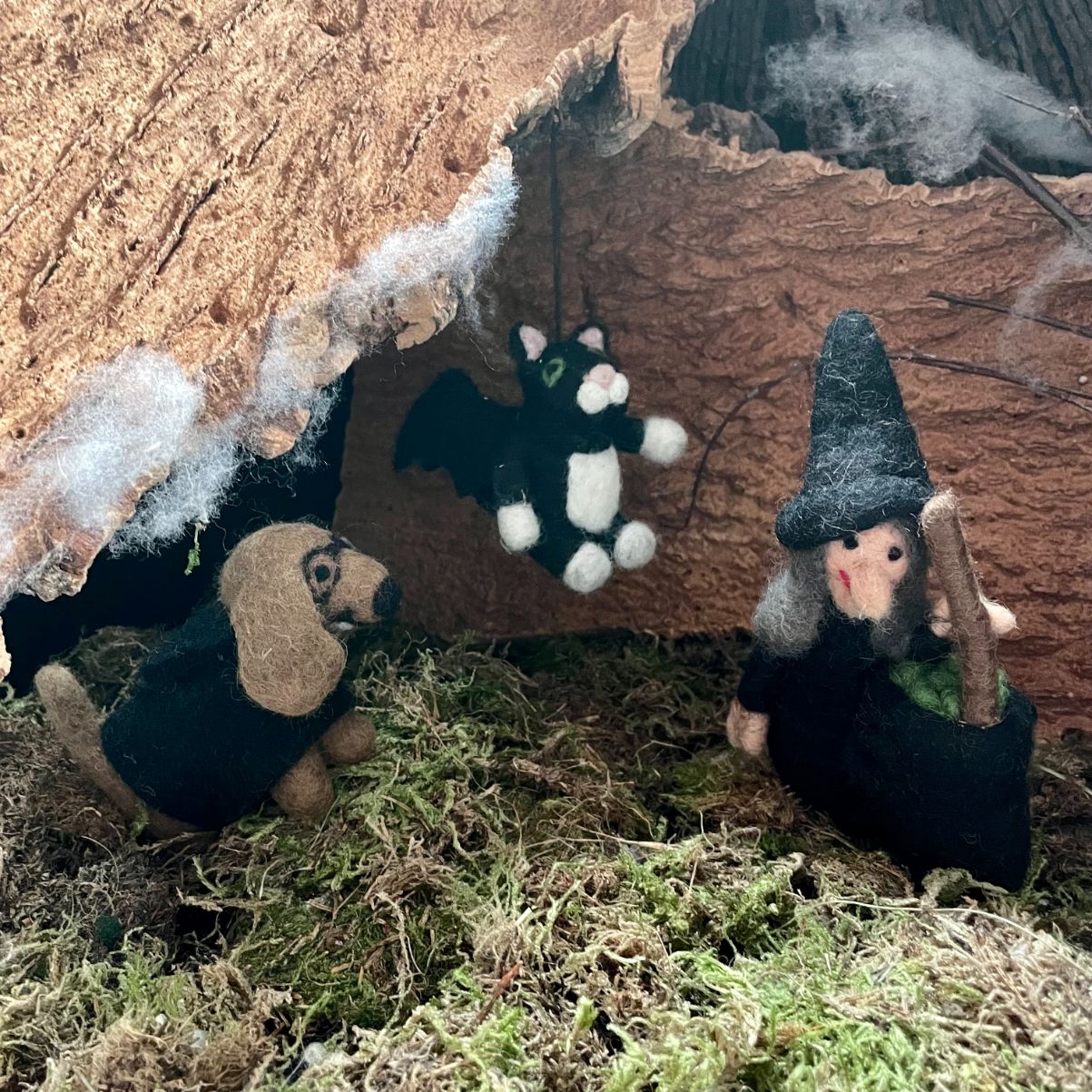 Wanda the Witch