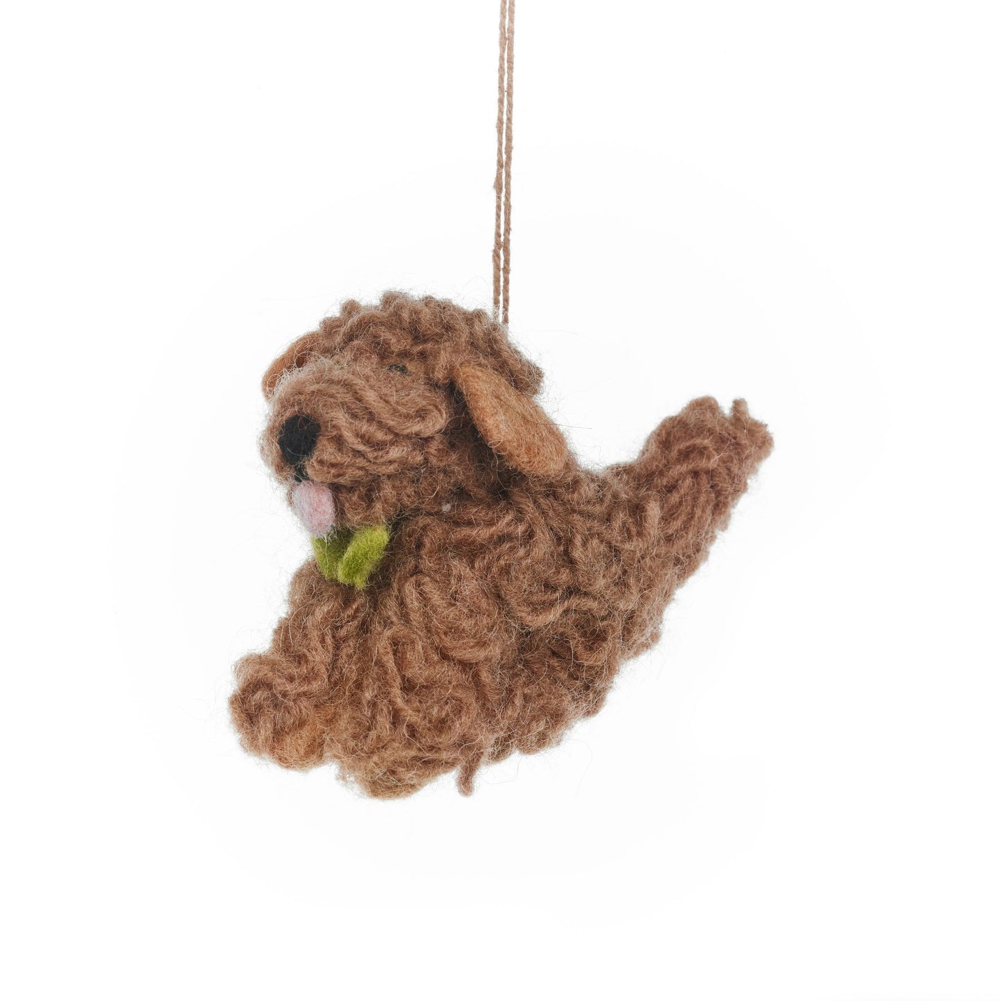Cassie the Cockapoo