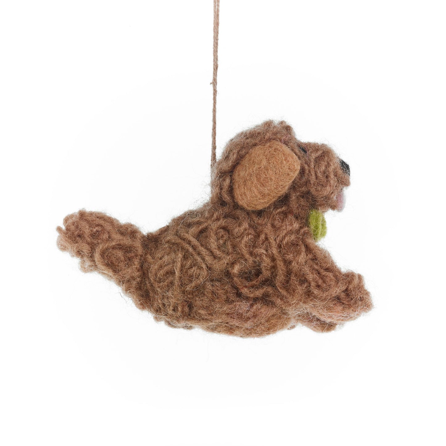 Cassie the Cockapoo