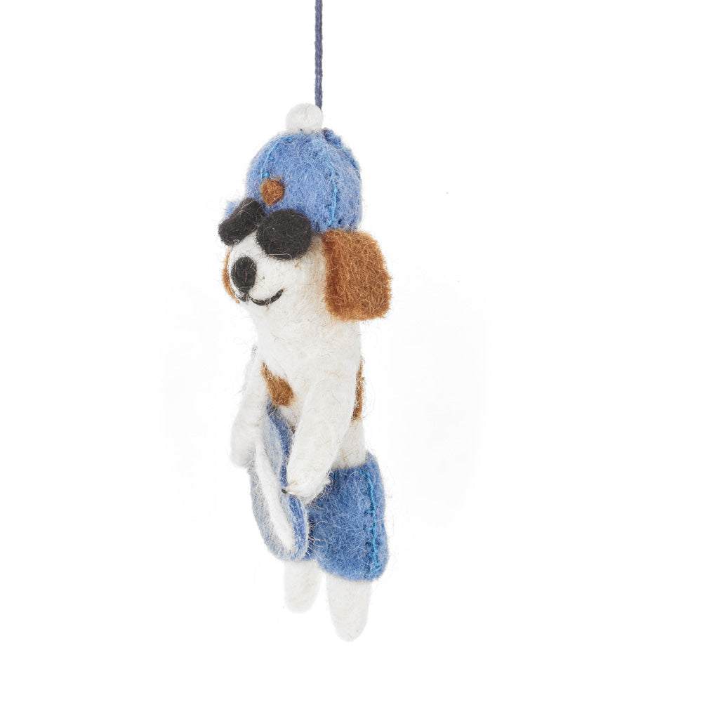 Waveriding Pooch