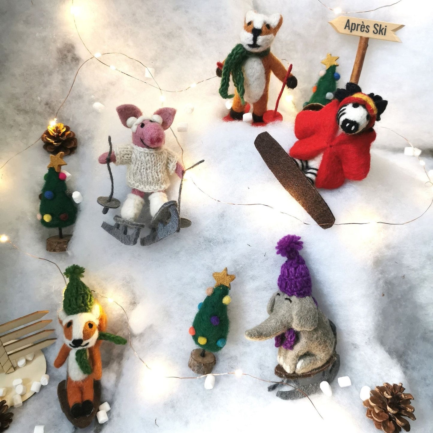 Alpine Swine Skiing Pig