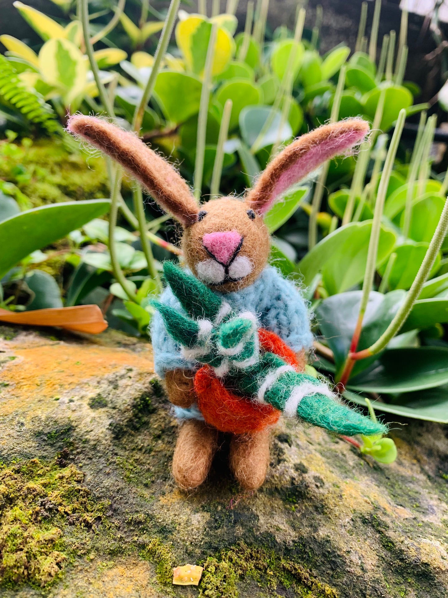 Benjamin the Bunny