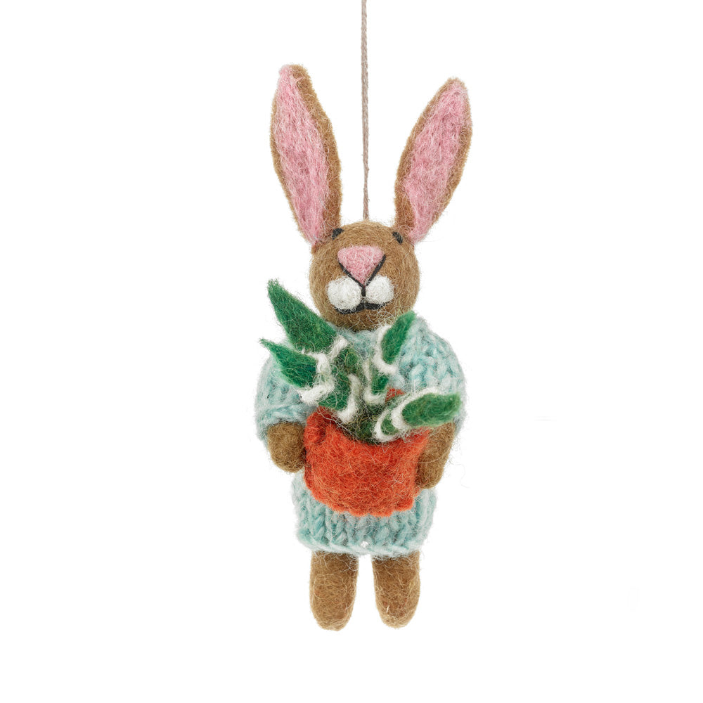 Benjamin the Bunny
