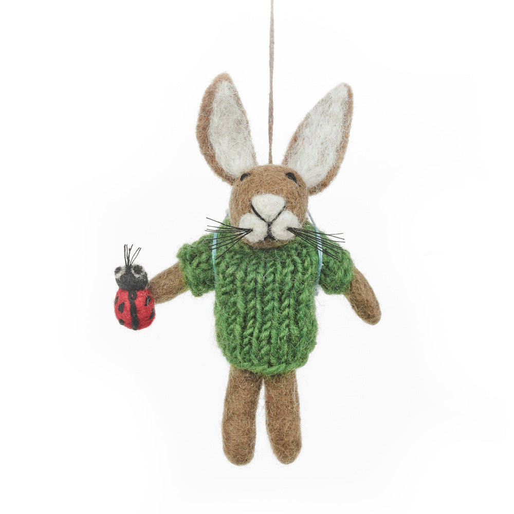 Bobby the Ladybird Hare