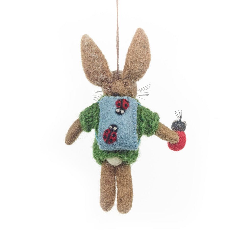 Bobby the Ladybird Hare