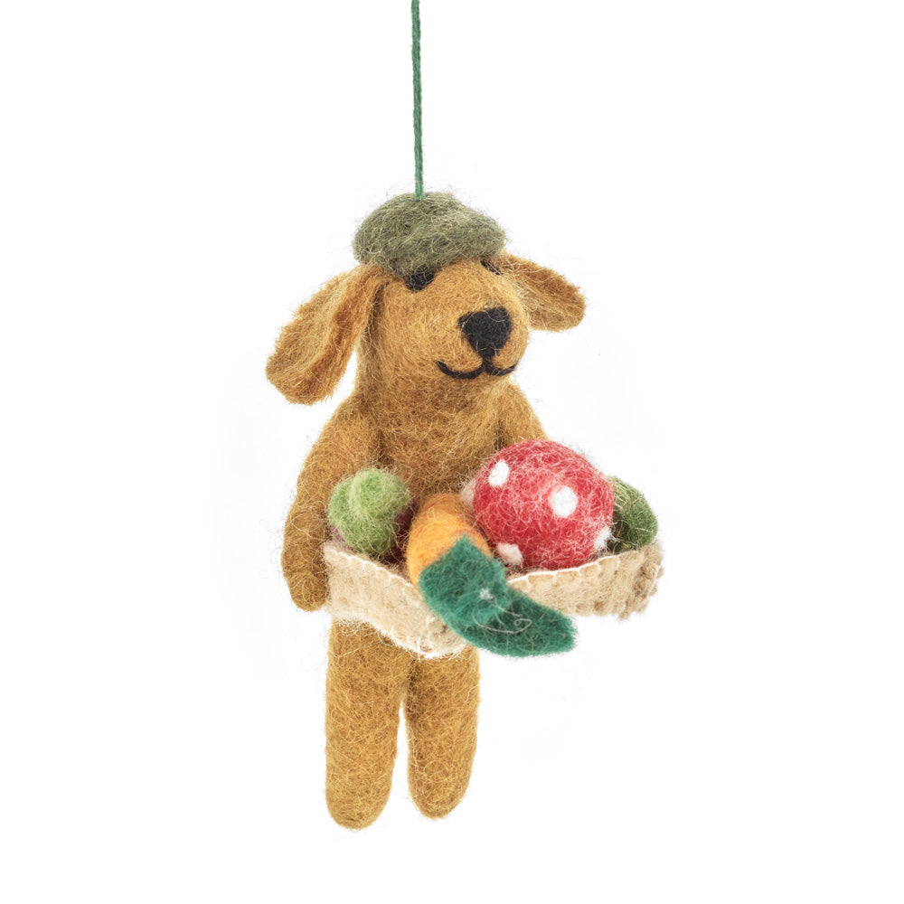 Dom the Gardening Dog