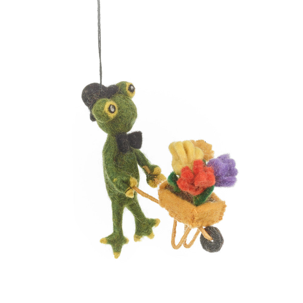 Fletcher the Florist Frog
