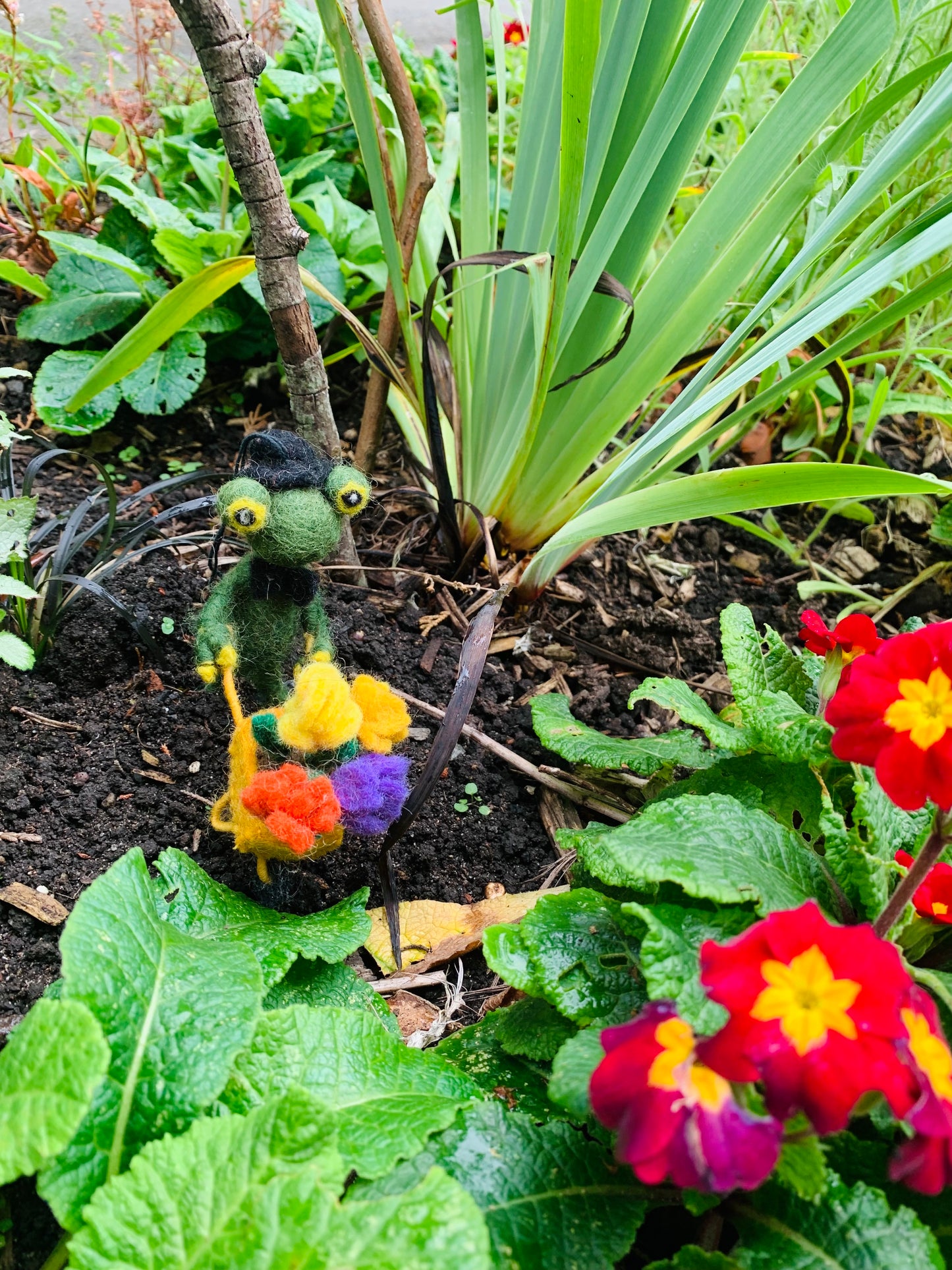 Fletcher the Florist Frog
