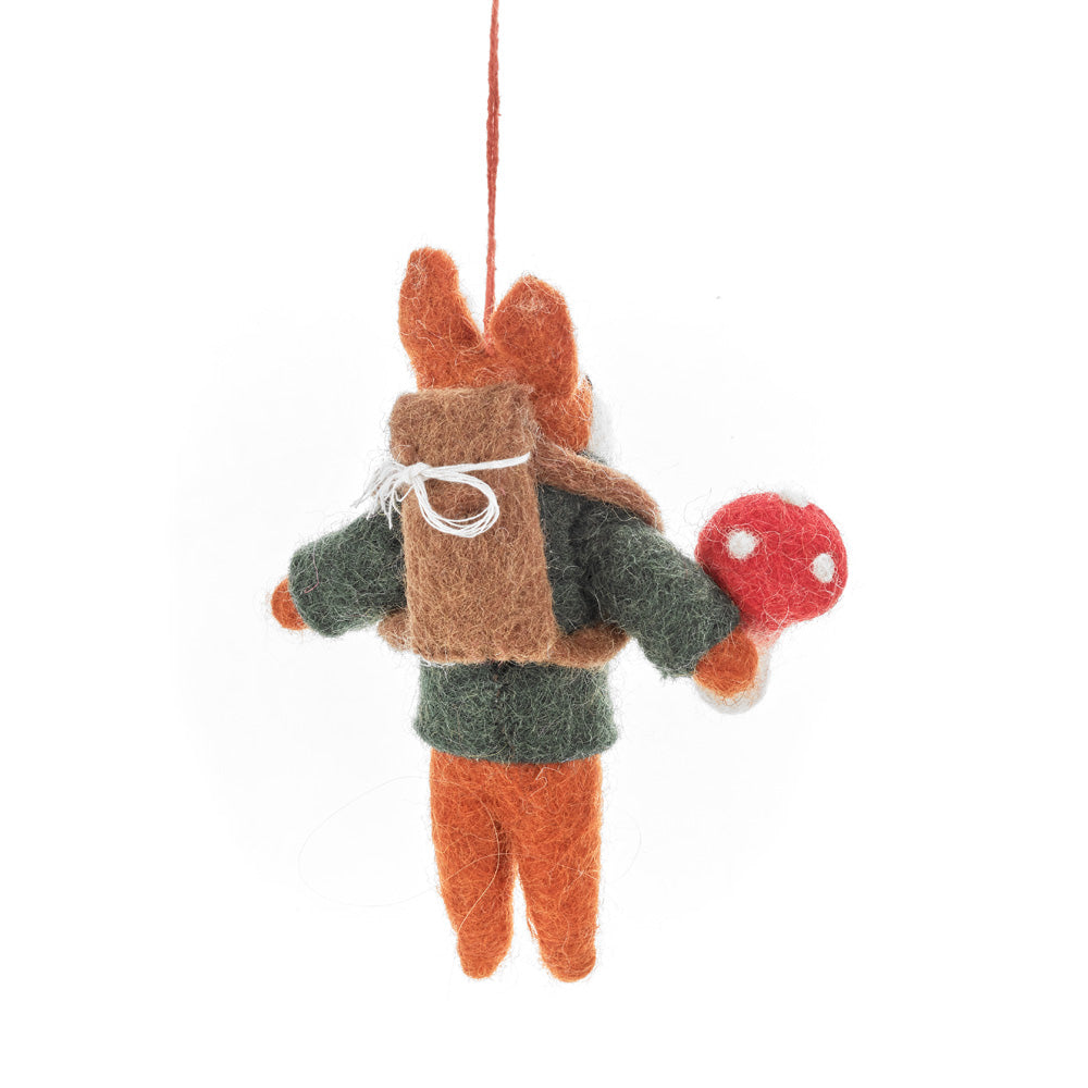 Frankie Foraging Fox