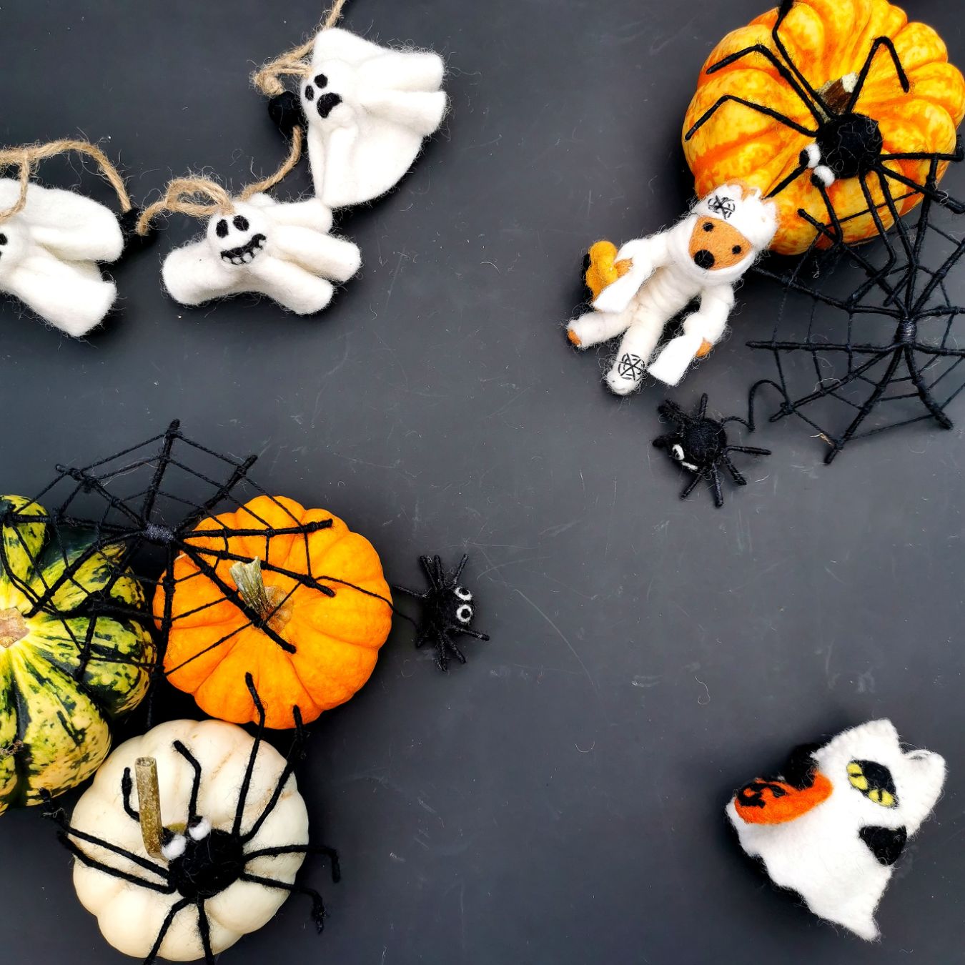 BOO! Cat