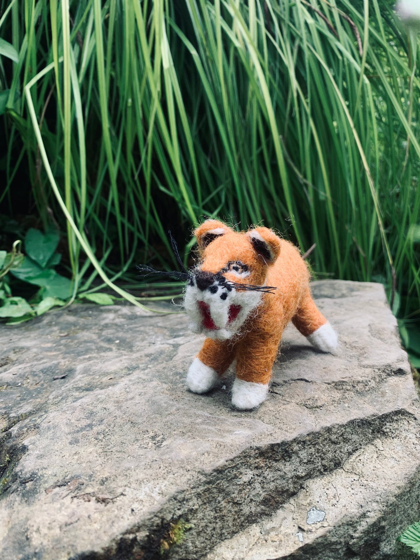 Hunter the Sabre Tooth Tiger