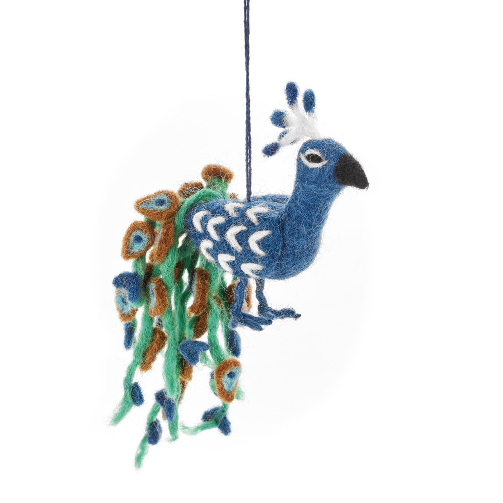 Pablo the Peacock