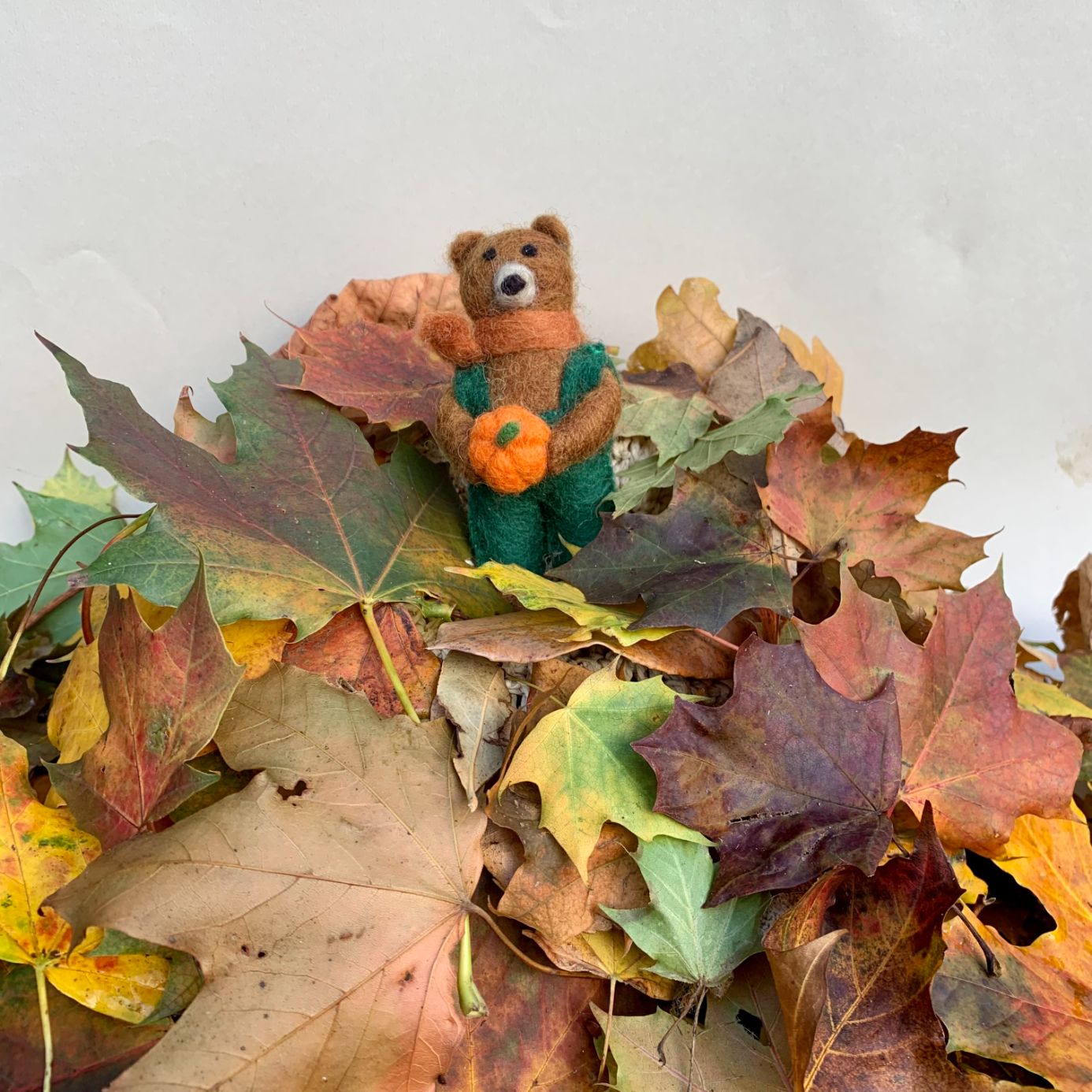 Radley the Bear