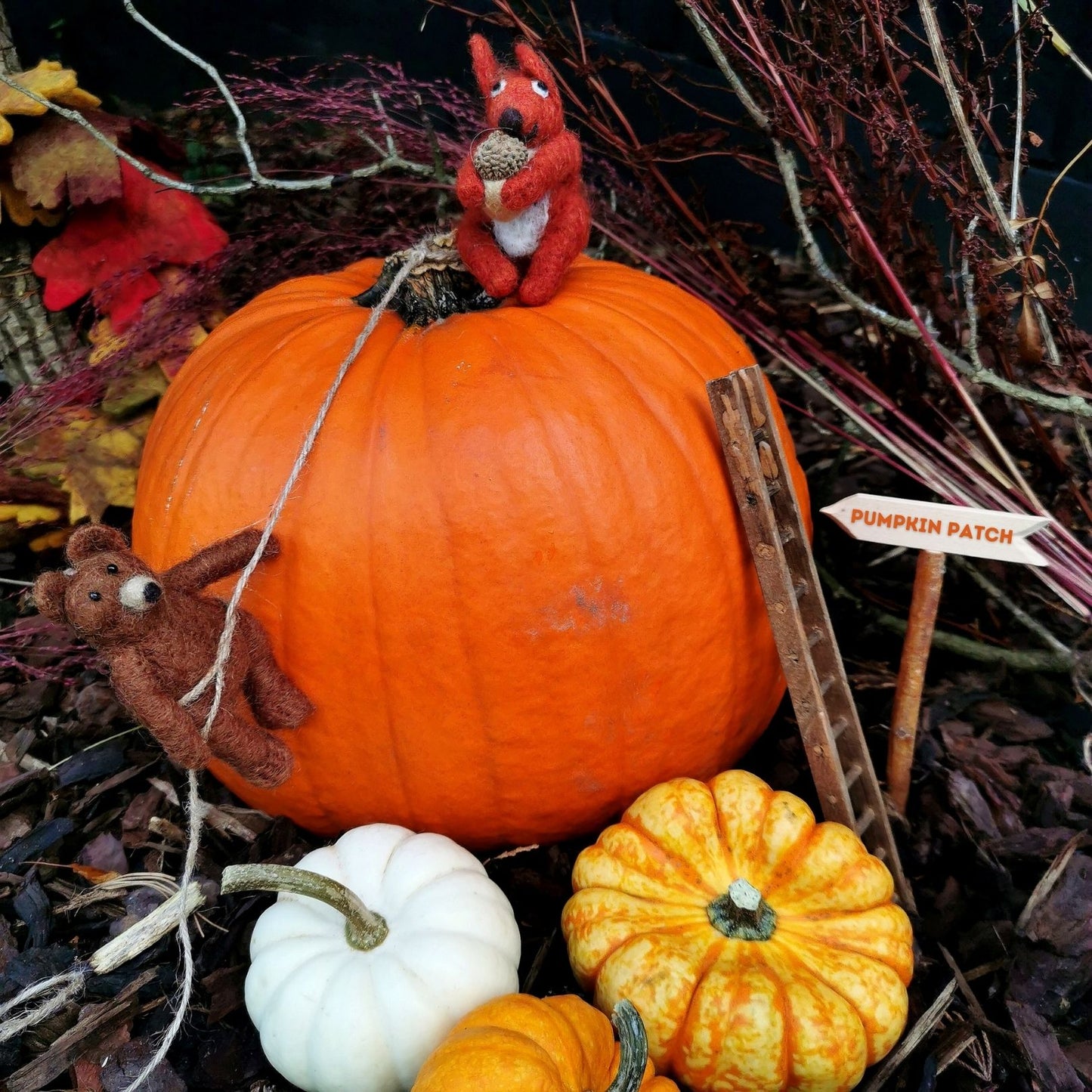 Red Bushy Squirrel