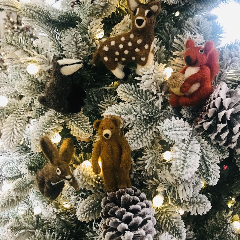 Red Bushy Squirrel