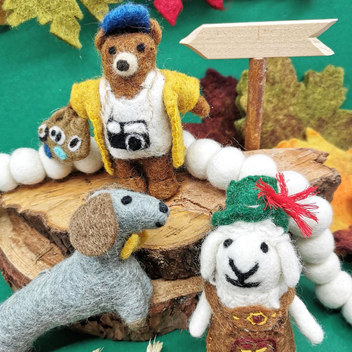 Teddy the Tourist Bear
