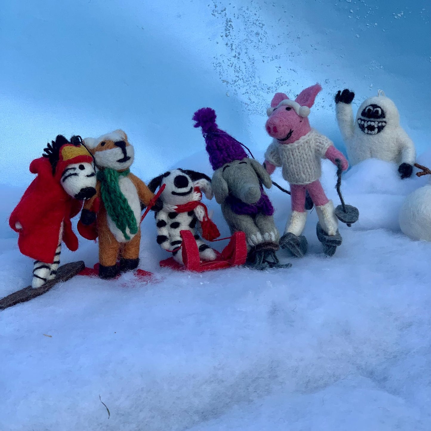 Alpine Swine Skiing Pig