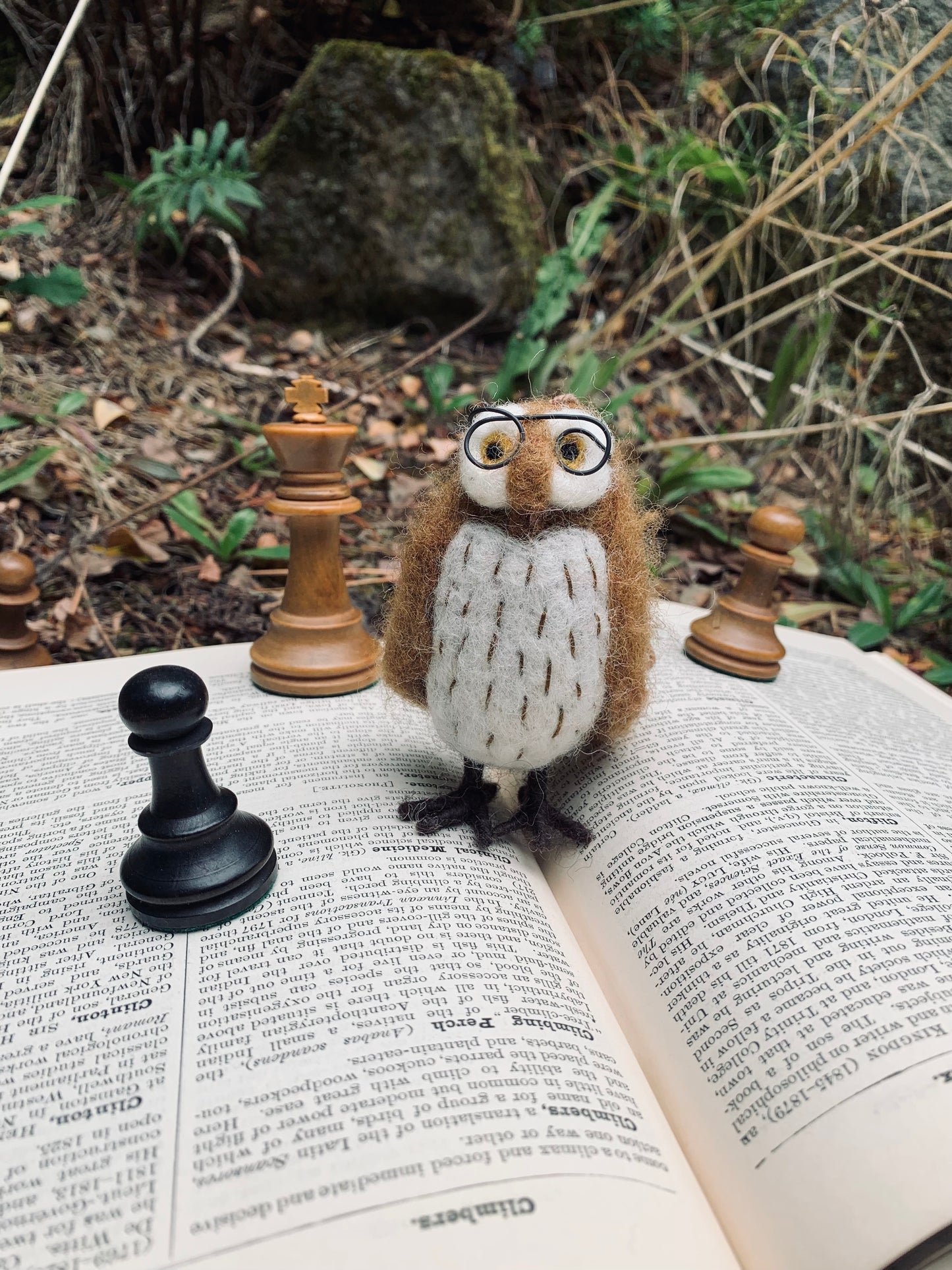 Wilson Wise Owl