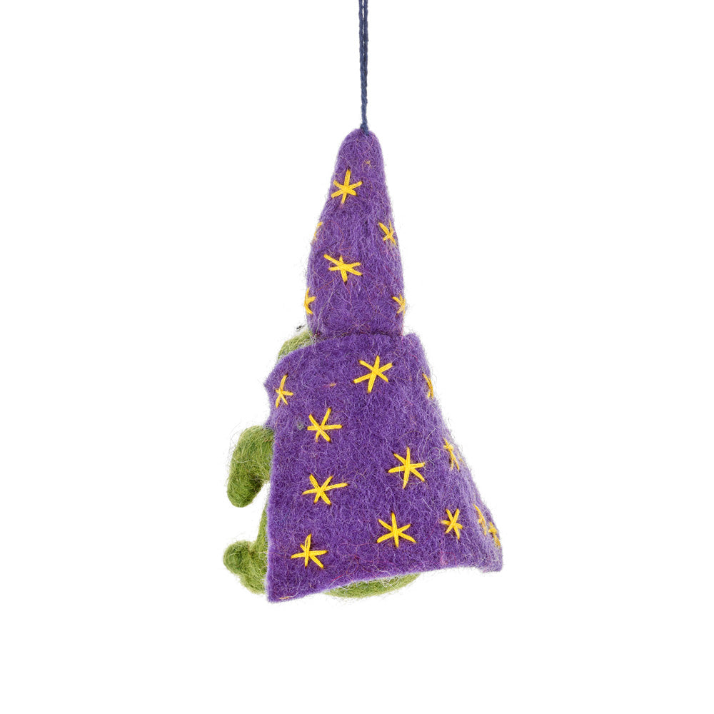 Wizard Frog