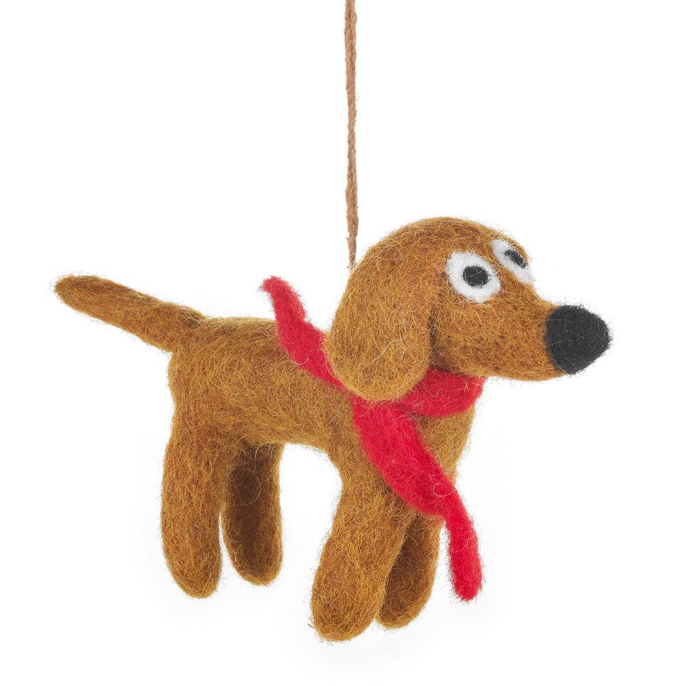Jasper the Dog