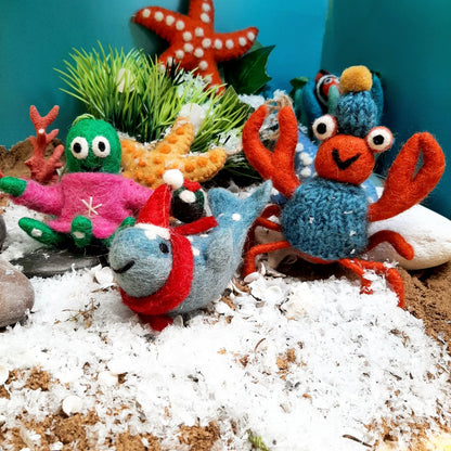 Timmy Tentaclaus
