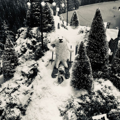 Skiing sheep