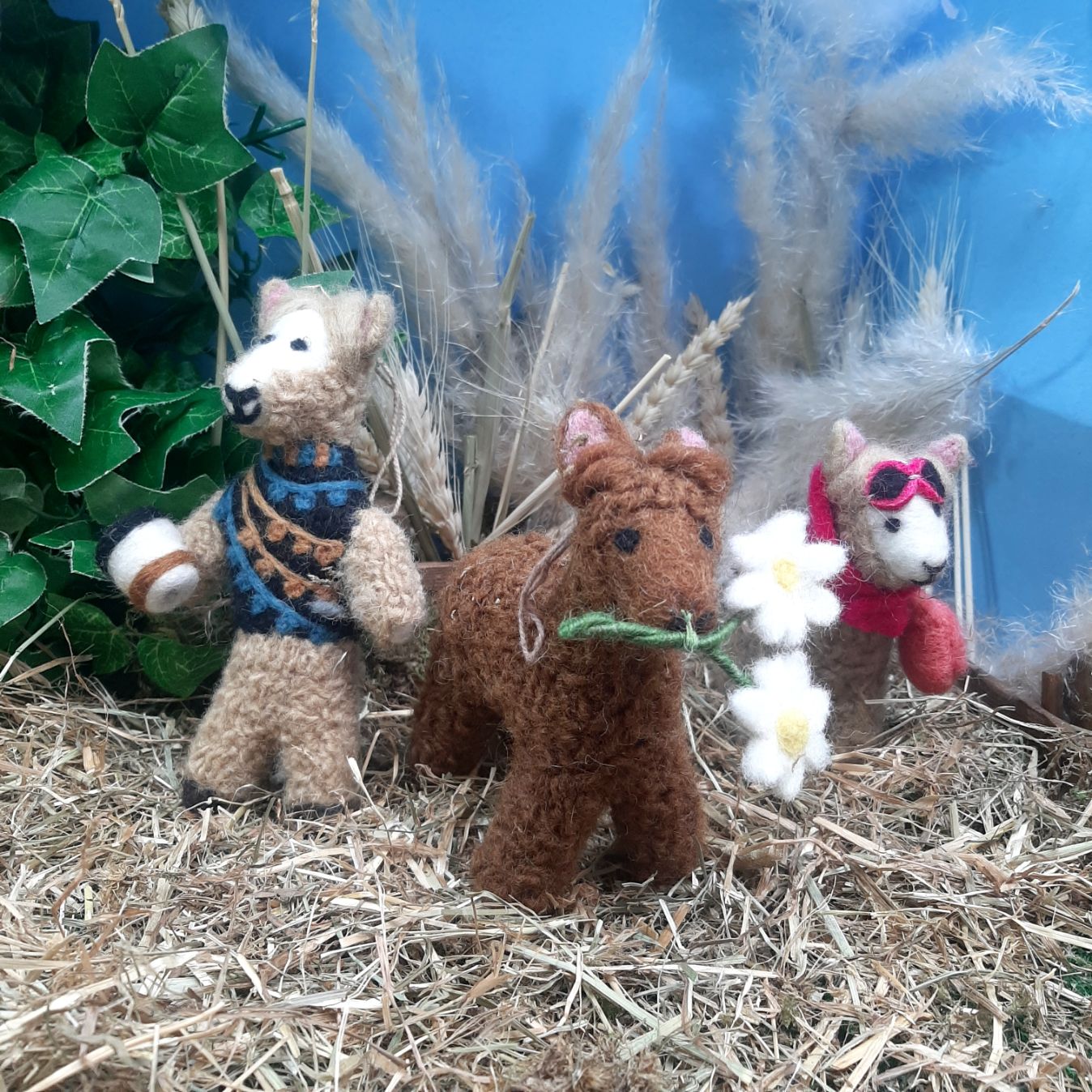 Alexander Alpaca