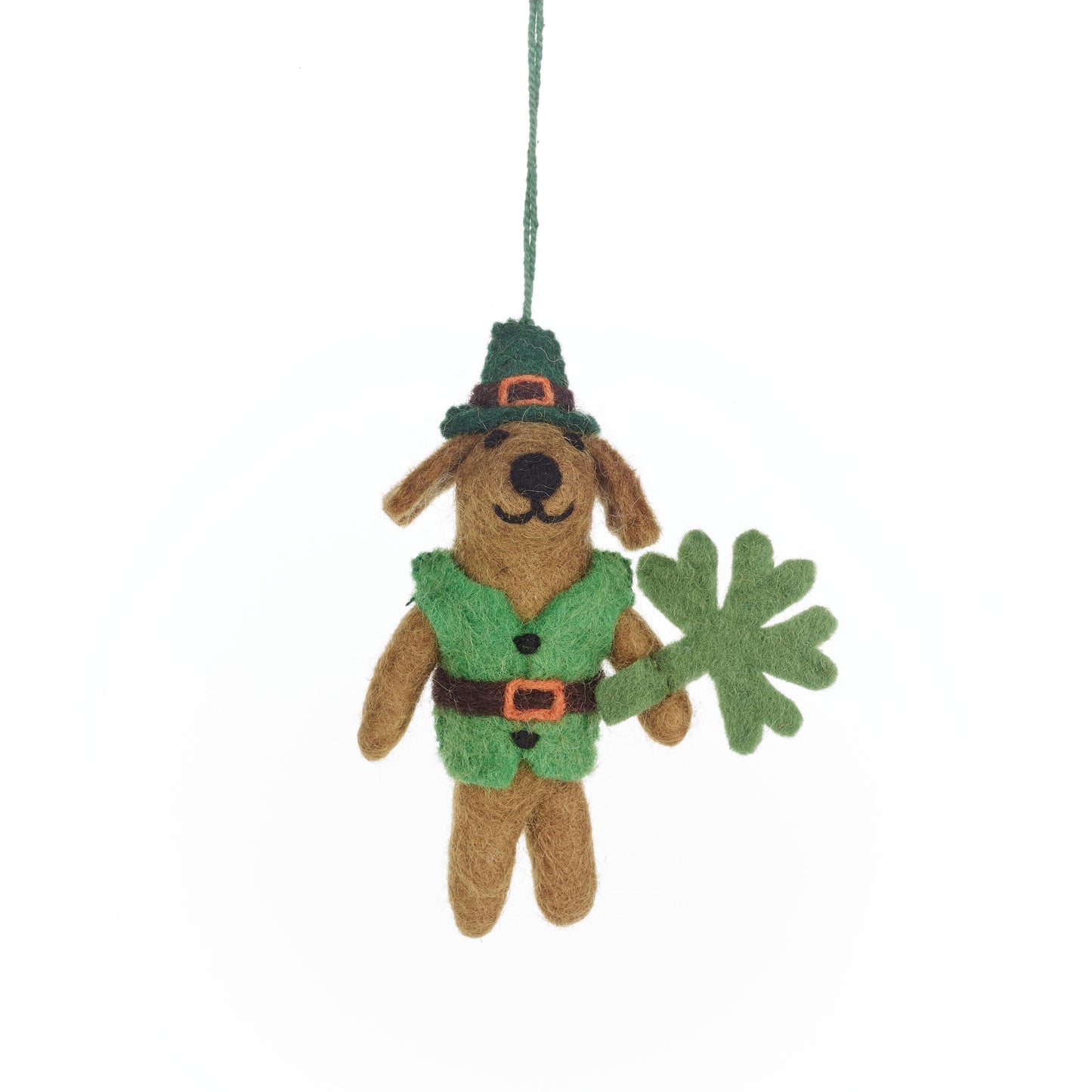 Cormac the Irish Pooch