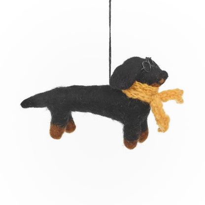 Douglas the Dachshund