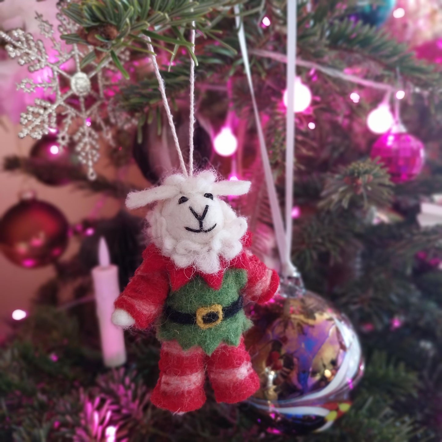 Elfie Sheep