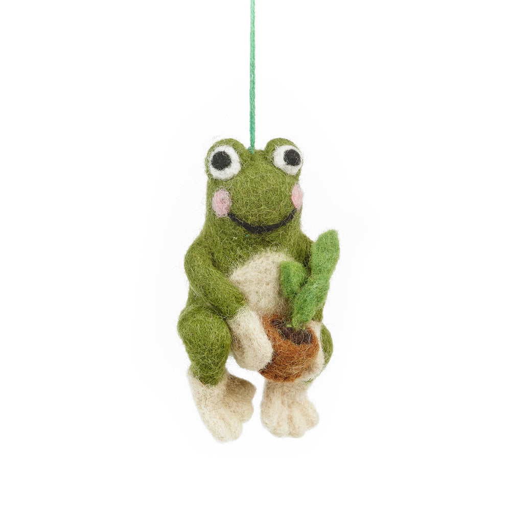 Frederick the Frog