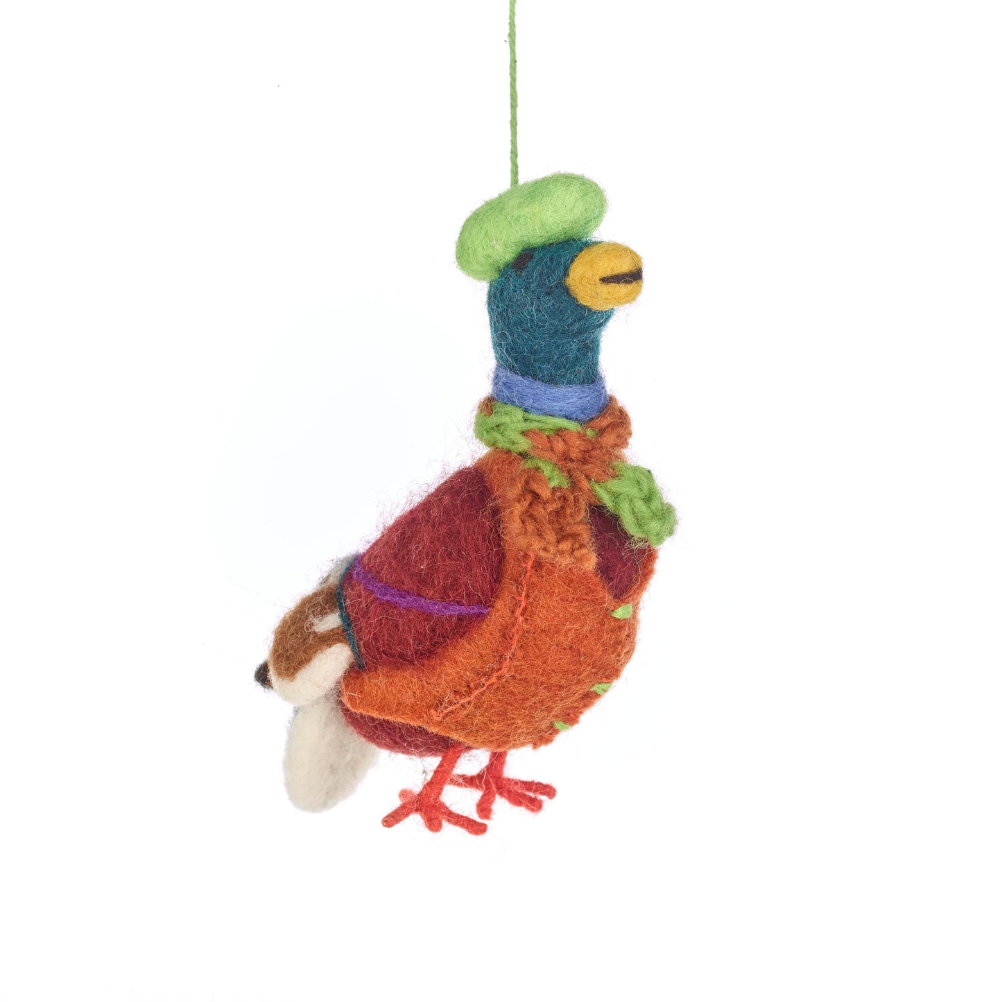 Master Mallard the Duck