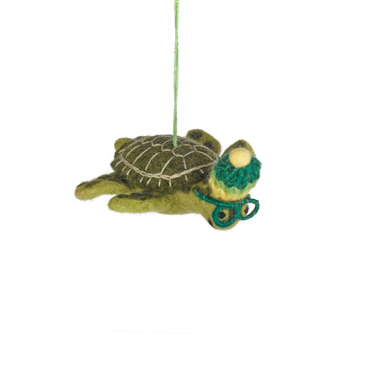 Simon the Sea Turtle
