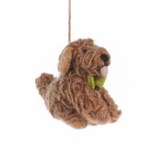 Cassie the Cockapoo