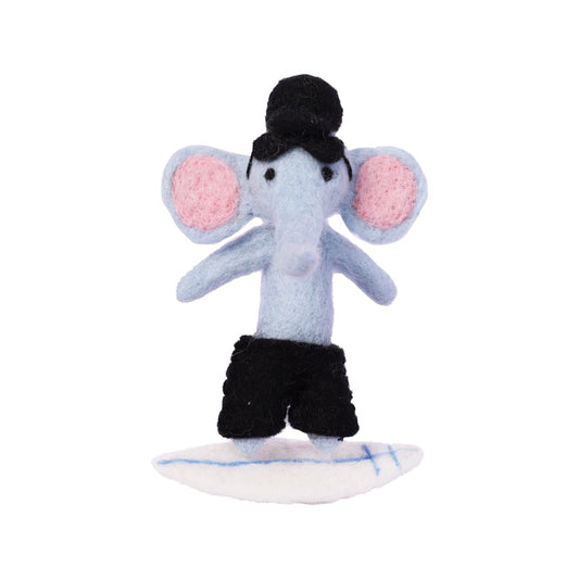 Dake - Surf Coach Elephant