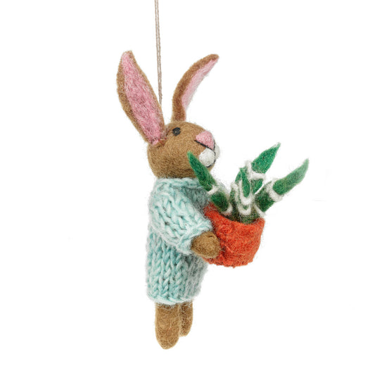 Benjamin the Bunny