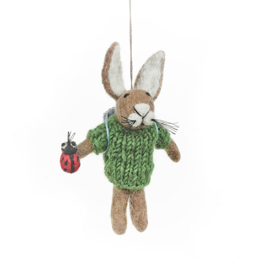Bobby the Ladybird Hare